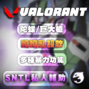 【VALORANT 特戰英豪】SNTL 私人輔助 產品圖