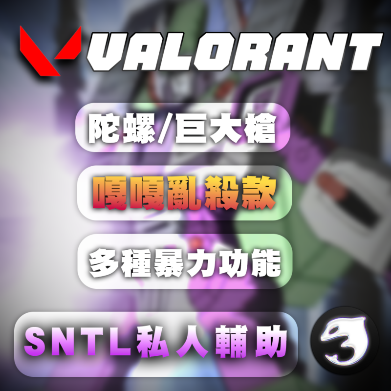 【VALORANT 特戰英豪】SNTL 私人輔助 產品圖